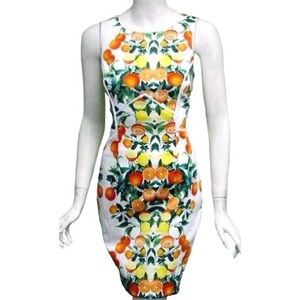 Sheath Dress in Italian inspired citrus print